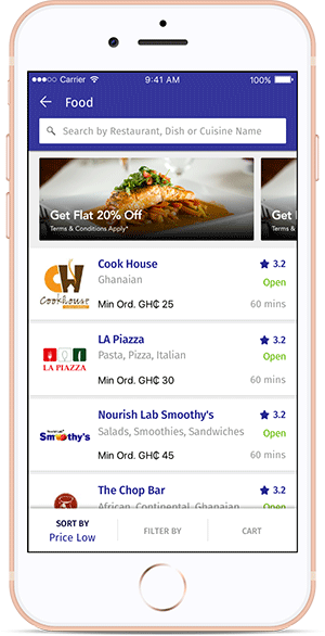 hellodeliveryhome (1)
