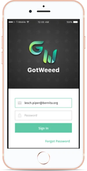 gotweed2